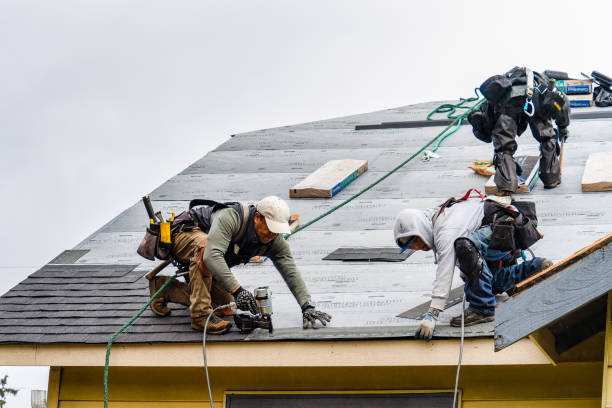 Professional Roofing technician working in Milford, IA